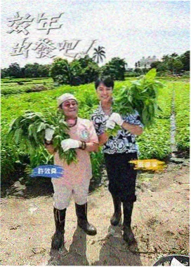 热线传奇 预告